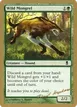 Wild Mongrel #dh283
