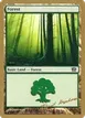 Forest #dh348