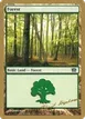 Forest #dh349