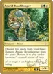 Anurid Brushhopper #dz137sb