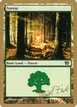 Forest #dz347