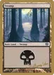 Swamp #we342