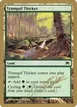 Tranquil Thicket #jn326