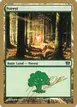 Forest #jn347