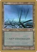 Swamp #js339