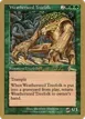Weatherseed Treefolk #ml116sb