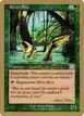 River Boa #ml249
