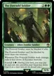 The Foretold Soldier #102