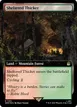Sheltered Thicket #1105