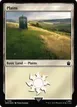 Plains #1156