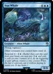 Star Whale #55