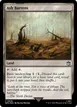 Ash Barrens #848