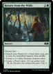 Return from the Wilds #181