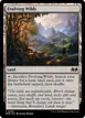 Evolving Wilds #256