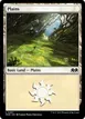 Plains #267