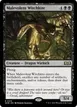 Malevolent Witchkite #315