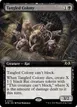 Tangled Colony #344