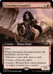 Charming Scoundrel #345
