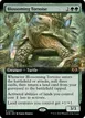 Blossoming Tortoise #354