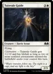 Tuinvale Guide #36