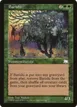 Barishi #119