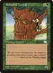 Redwood Treefolk #138