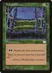 Tranquil Grove #142