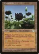 Lotus Vale #165