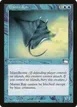 Manta Ray #42