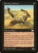 Circling Vultures #64