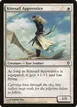 Kitesail Apprentice #10