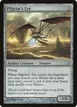Pilgrim's Eye #128