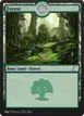Forest #55