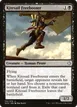 Kitesail Freebooter #110