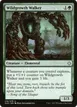 Wildgrowth Walker #216