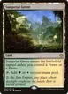 Sunpetal Grove #257
