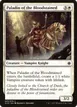 Paladin of the Bloodstained #25