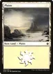 Plains #260