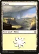 Plains #261