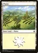 Plains #262