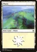 Plains #263