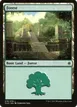 Forest #276