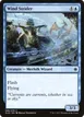 Wind Strider #88