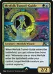 Merfolk Tunnel-Guide #25