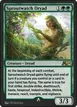 Sproutwatch Dryad #20