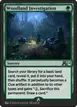 Woodland Investigation #21