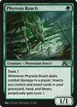 Phyresis Roach #15