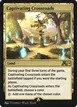 Captivating Crossroads #29