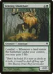 Grazing Gladehart #163