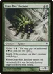 Oran-Rief Recluse #173